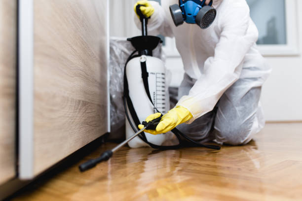 Best Pest Removal Services  in Lanham, MD