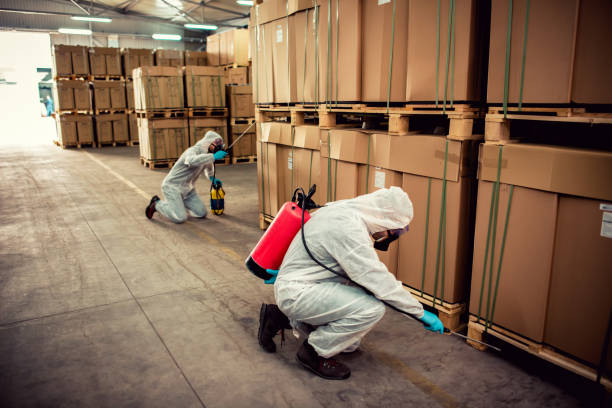 Best Wasp Removal Services  in Lanham, MD