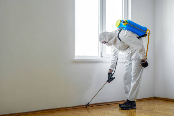 Best Affordable Pest Control Services  in Lanham, MD