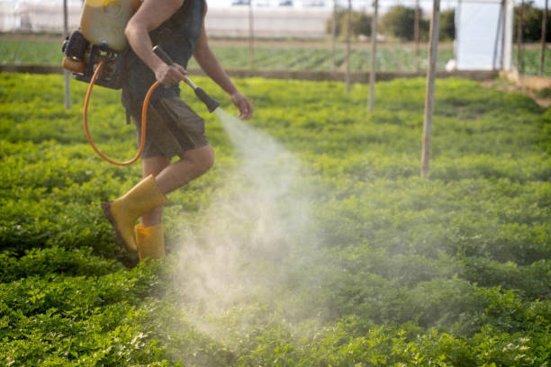 Best Best Pest Control Companies  in Lanham, MD