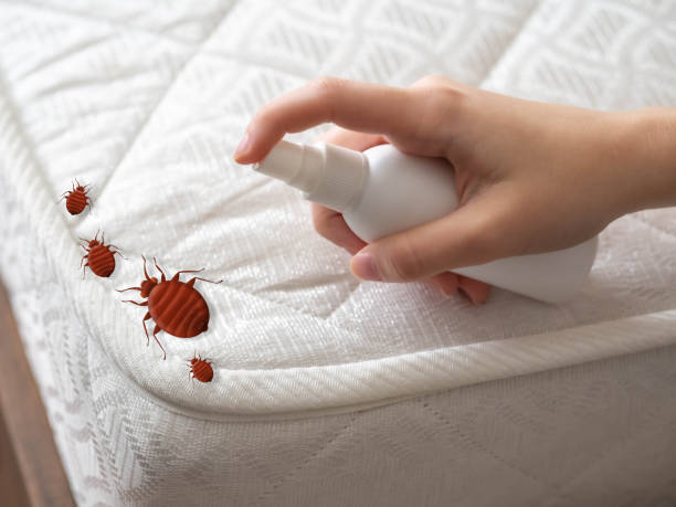 Best Affordable Pest Control Services  in Lanham, MD