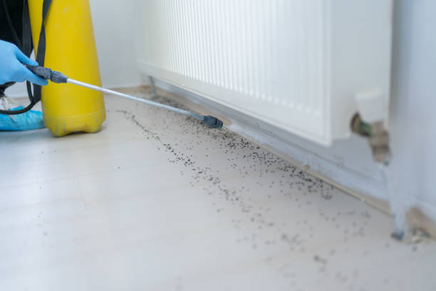 Best Affordable Pest Control Services  in Lanham, MD